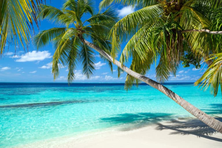 Traumstrand mit Palmen und türkisem Meer für Strandurlaub